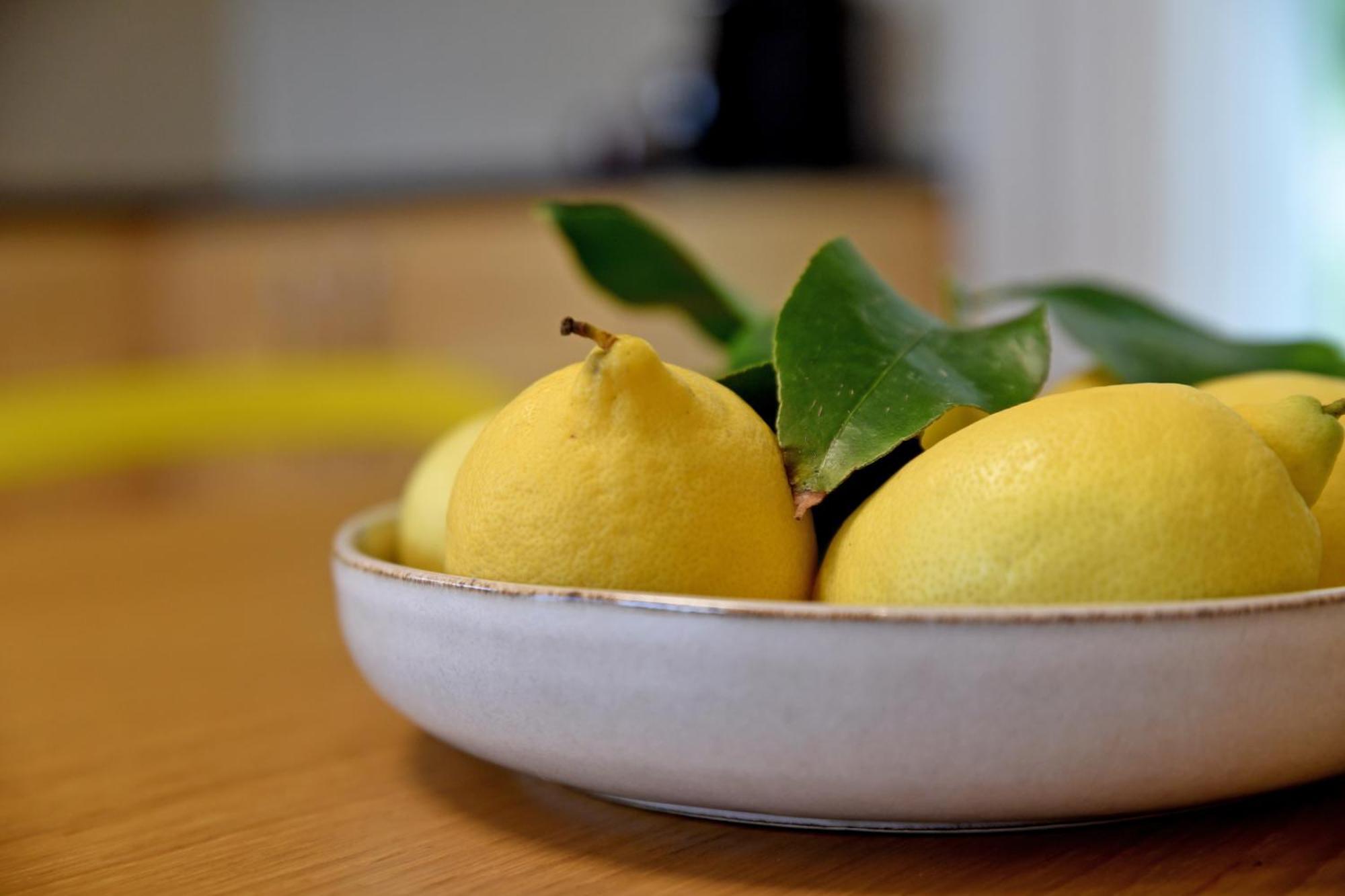 Kumquat Grove